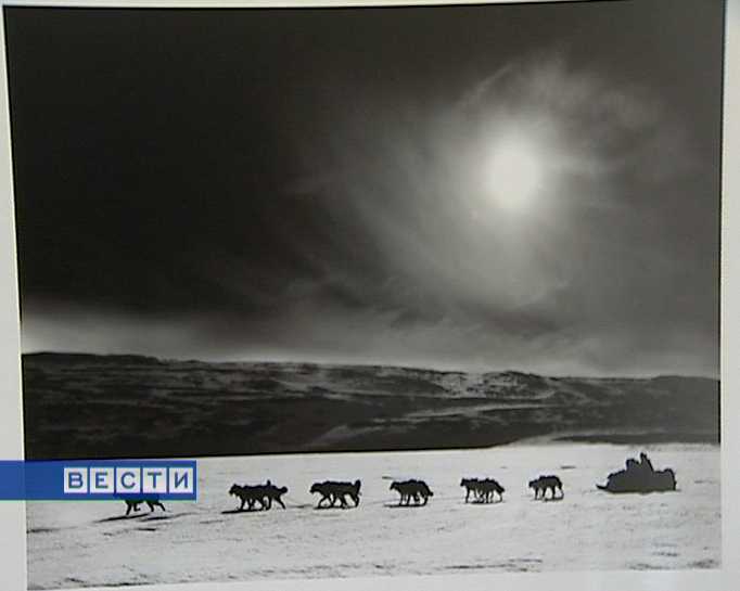 «Мир Арктики»