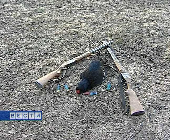 Сезон охоты