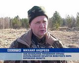 Сезон охоты