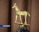 Конкурс "Золотая зебра"