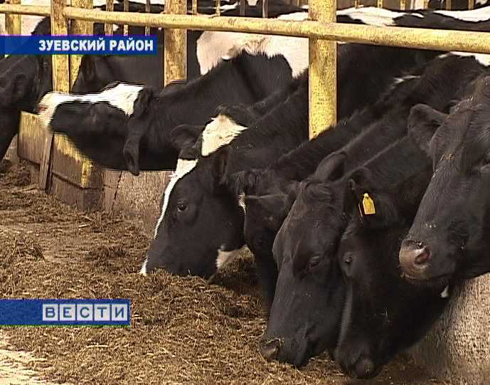 Племзавод  «Мухинский»