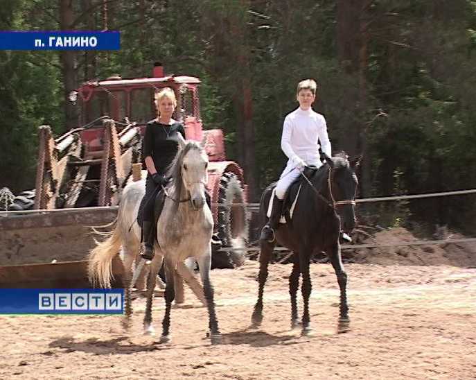 Конный клуб 