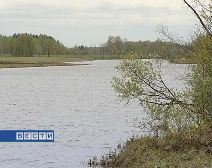 День эколога