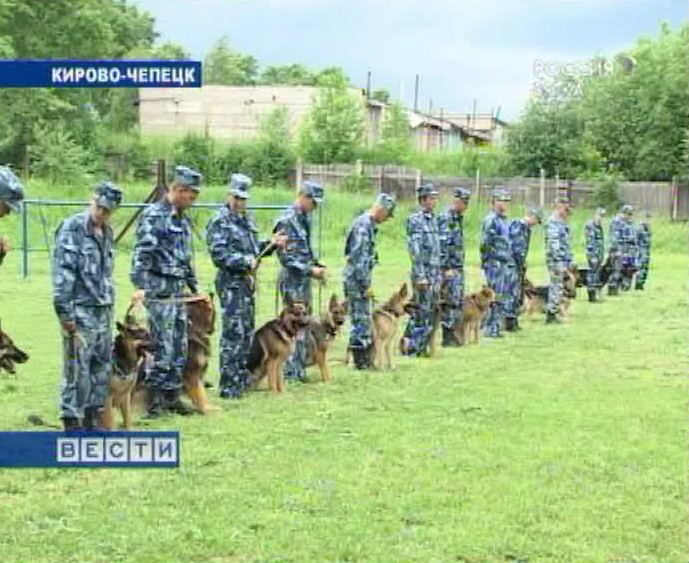 Хвостатые профессионалы