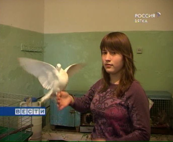 Из жизни отдыхающих