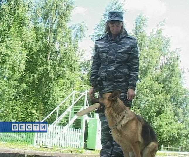 Профессиональный праздник сотрудников службы охраны уголовно- исполнительной системы