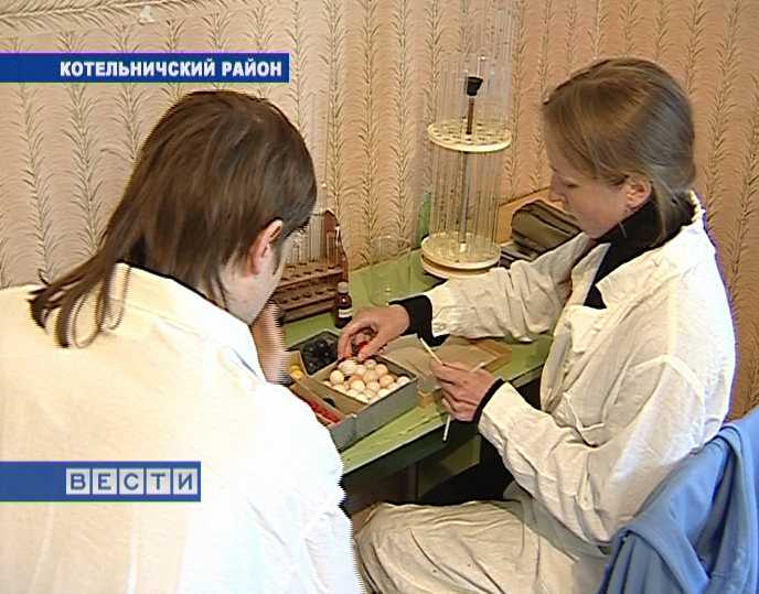 Летняя многопрофильная предметная школа