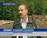 Школьники на защите леса