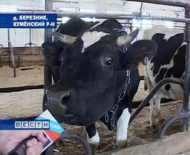 Конкурс мастеров машинного доения