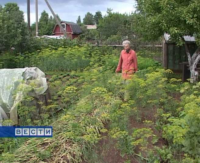 Подспорье в кризис