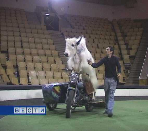 Уникальный мотоцикл