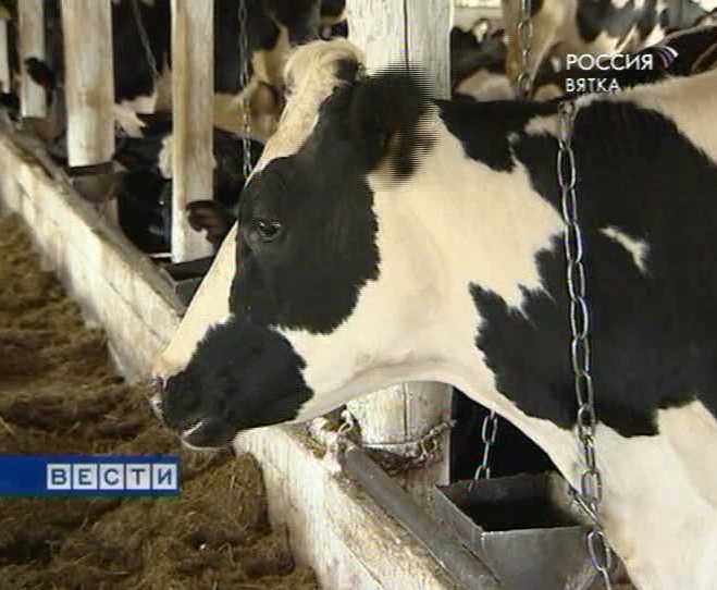 Цены на молоко