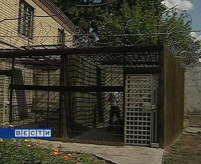 Пьяный за рулём - преступник