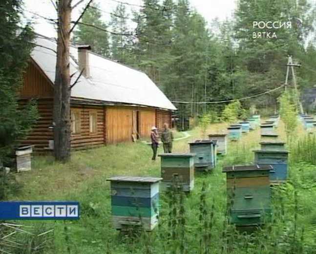 Профессия- пчеловод