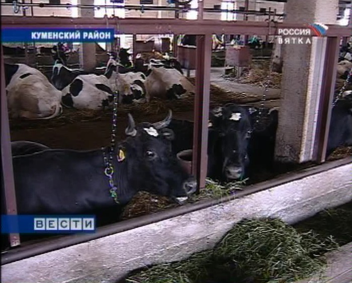 Хочешь молока – корми корову