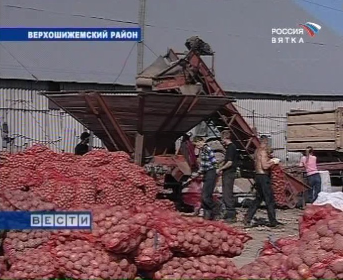 Вольная нива