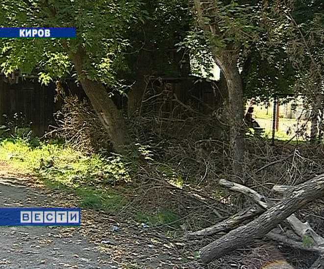 Опасные деревья