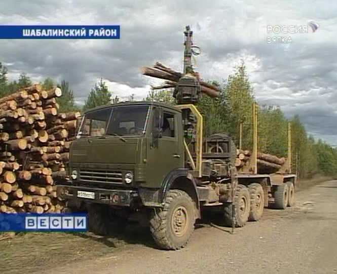 День лесника