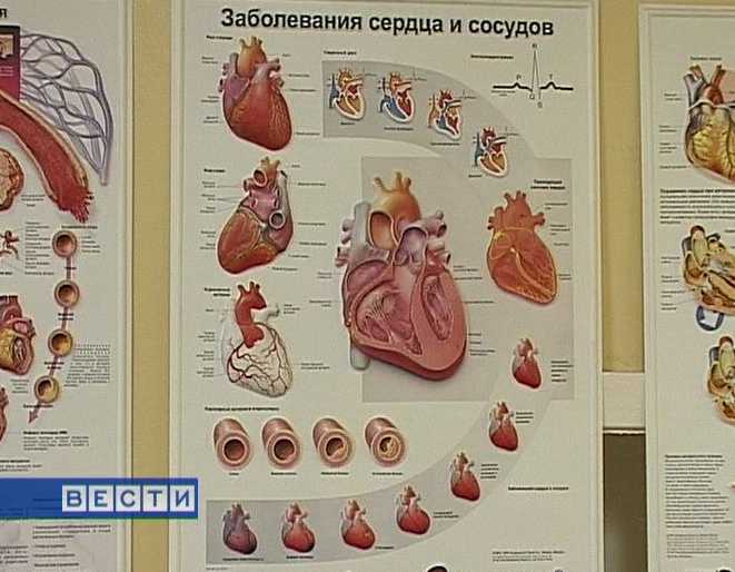 Берегите сердце!