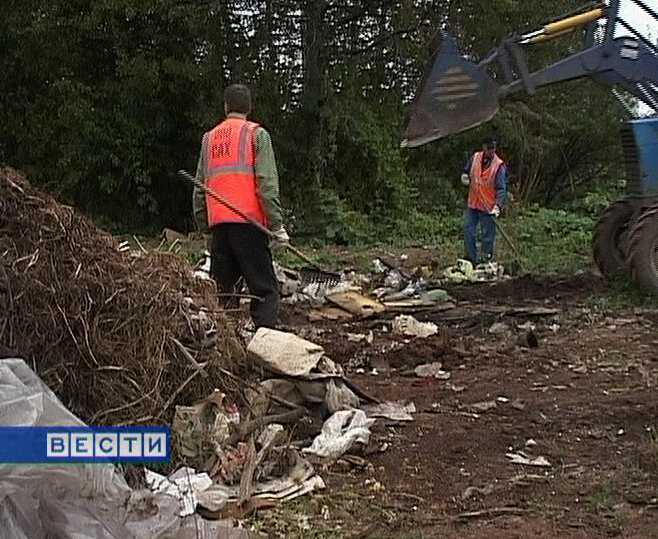 Несанкционированные свалки