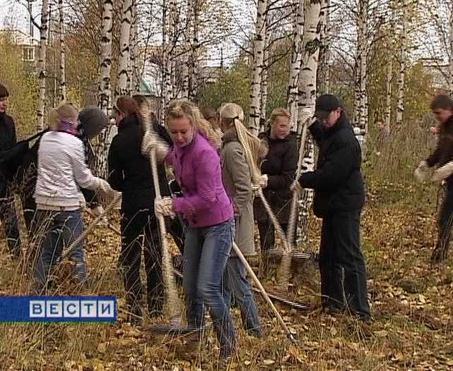 Субботник на городище