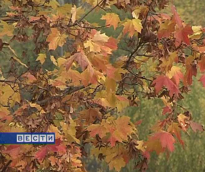 Прогноз погоды