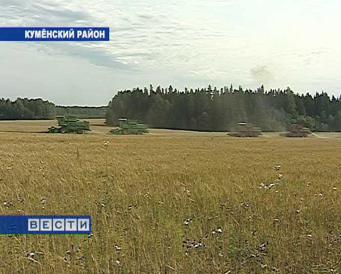 Небывалый урожай