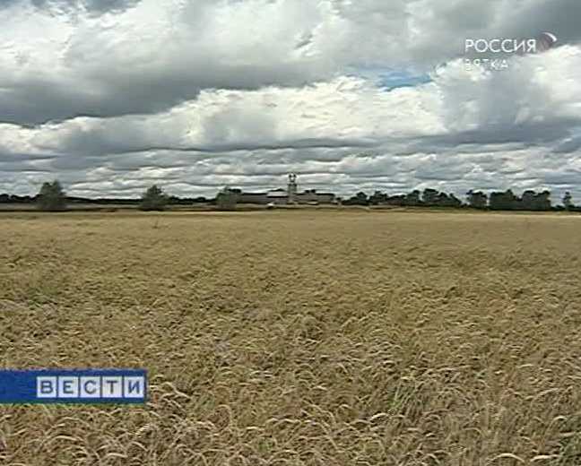 Международный день продовольствия