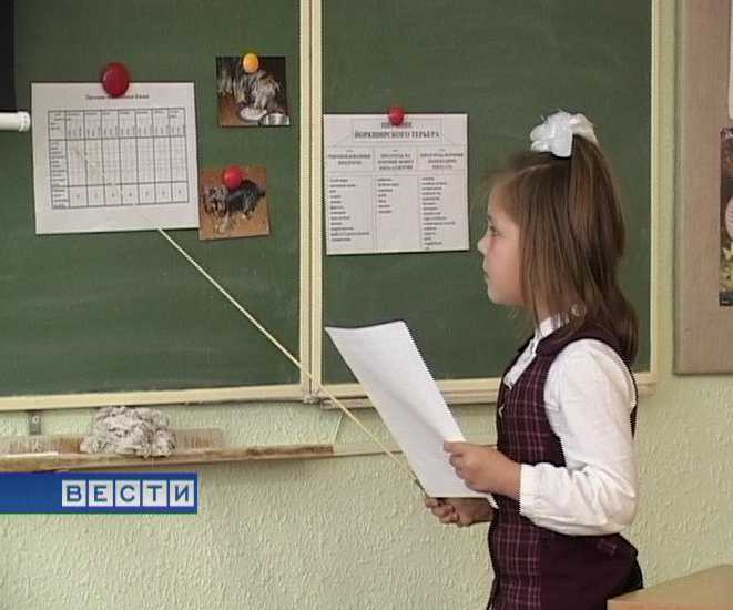 Конференция юных исследователей