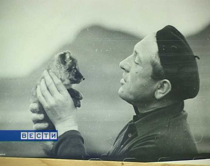 Влюбленный в Командоры