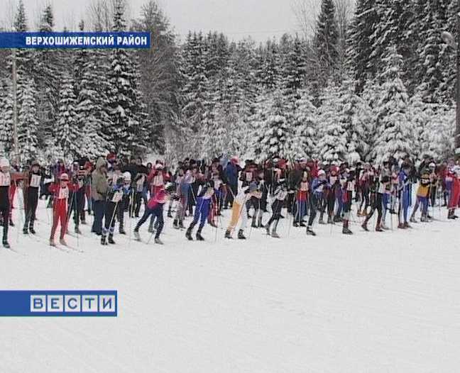 Лыжные гонки