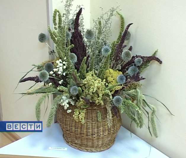 Красота природы