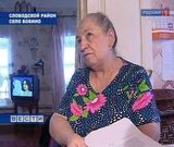 Опасные тополя