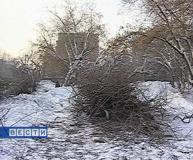 Вырубили деревья