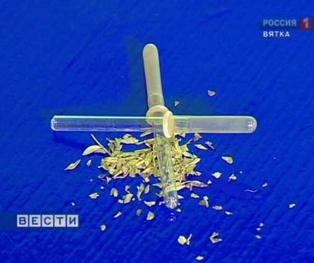 Профилактика наркомании