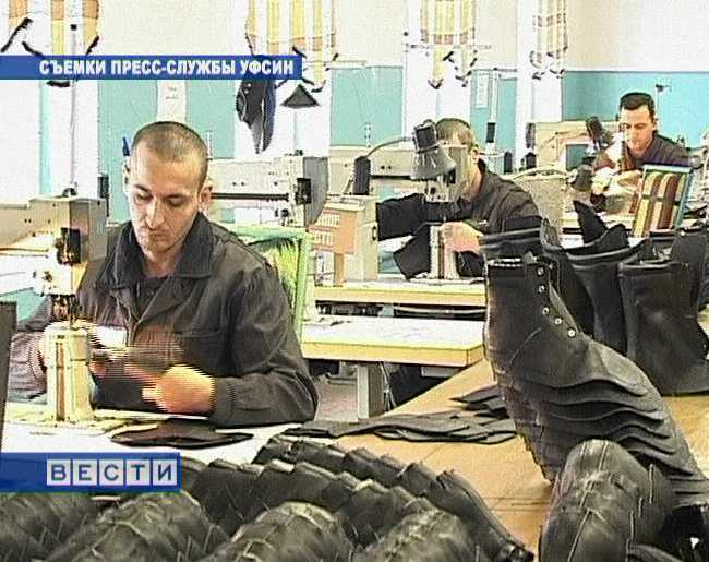 Помощь в трудоустройстве