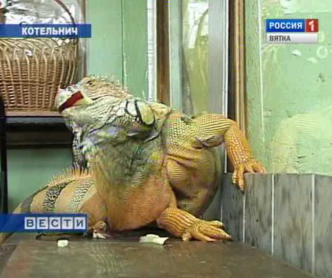 Музей живых динозавров