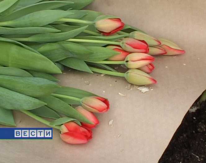 Весеннее настроение