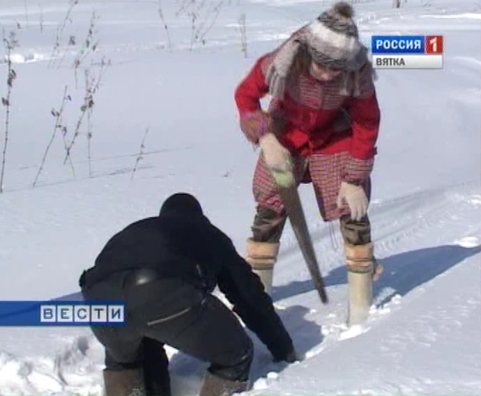 Дом за 2 часа