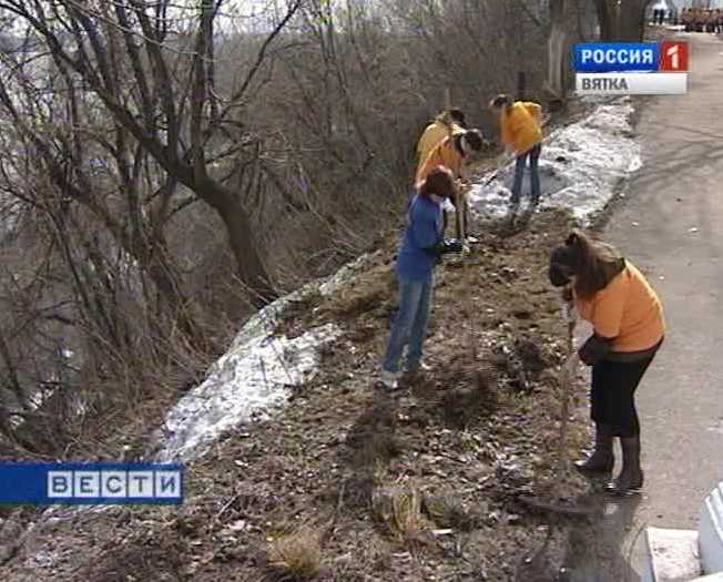 Вопросы благоустройства