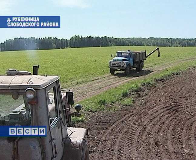 Каким будет хлеб?