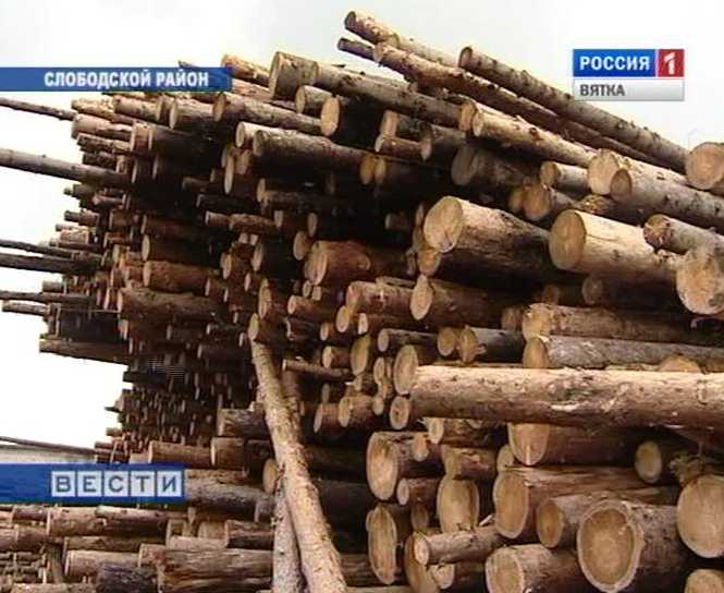 Вредители леса