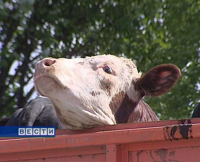 Нарушения перевозок 