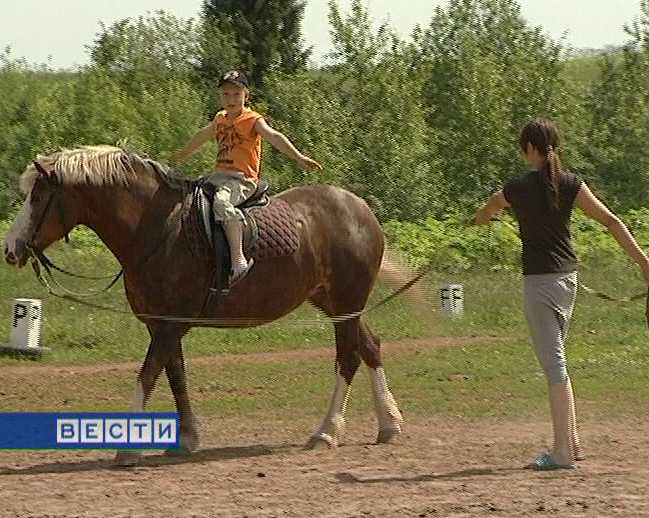 Иппотерапия