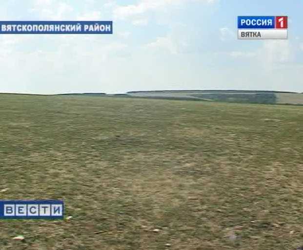 Засуха в Вятскополянском районе