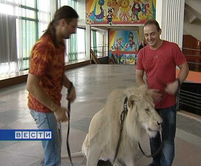 Братья Запашные в Кирове