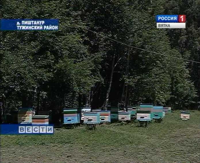 Мед для космонавтов