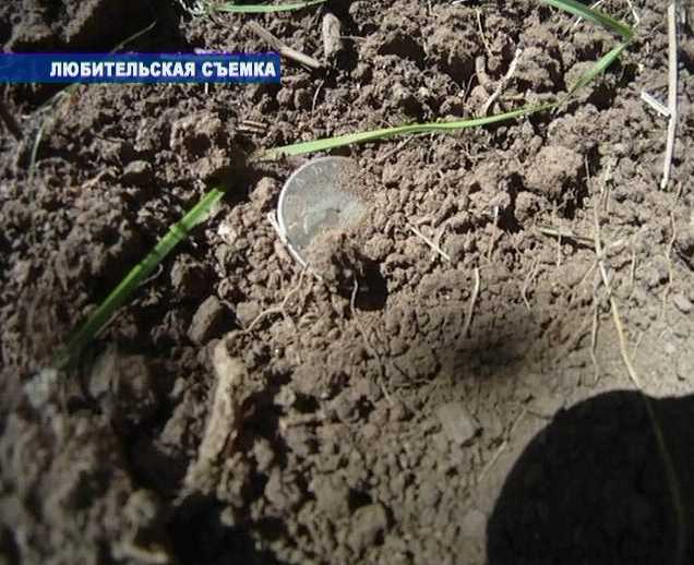 Черные копатели