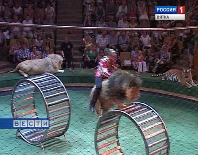 Настоящий цирк
