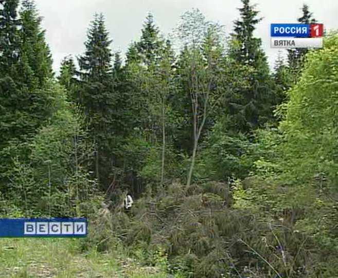 Лесное хозяйство